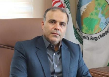 جمع آوری کلیه آثار تصرف در جنگلهای فتاتو