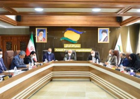 کارگروه سرمایه‌گذاری خارجی منطقه آزاد انزلی برگزار شد