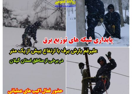 شبکه های توزیع برق علیرغم بارش برف شدید پایدار است / حضور فعال اكیپ های عملیاتی توزیع برق استان جهت رفع خاموشی های موردی
