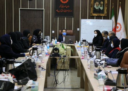 آموزش برنامه های اجتماع محور برای ۲۵۰ نفر از تسهیلگران، مسئولین فنی و صاحبین امتیاز مراکز مثبت زندگی استان گیلان