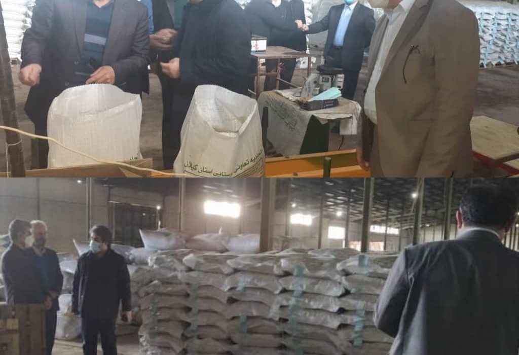 آغاز توزیع ۲ هزار تُن بذر اصلاح و گواهی شده برنج در استان گیلان