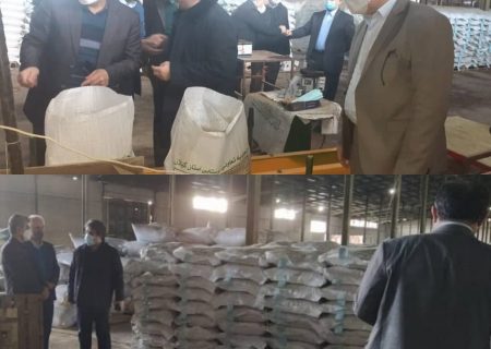 آغاز توزیع ۲ هزار تُن بذر اصلاح و گواهی شده برنج در استان گیلان
