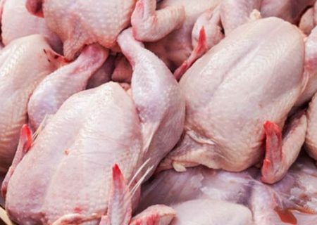 افزایش ۱۵ درصدی تولید مرغ در گیلان برای تامین بازار عید