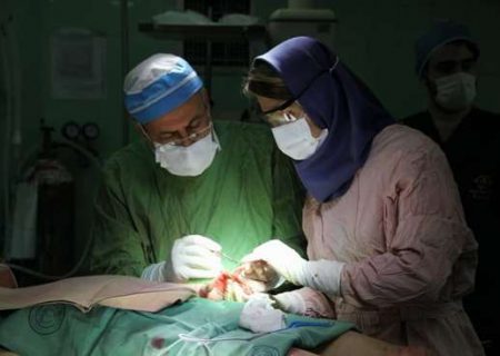 دستیابی محققان گیلانی به فوق پیشرفته‌ترین درمان سوختگی در کشور