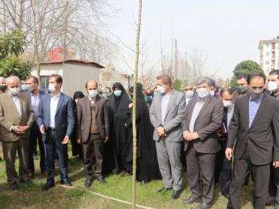 مراسم کاشت نهال به یاد زندگی بخشیِ اهدا کنندگان عضو در رشت