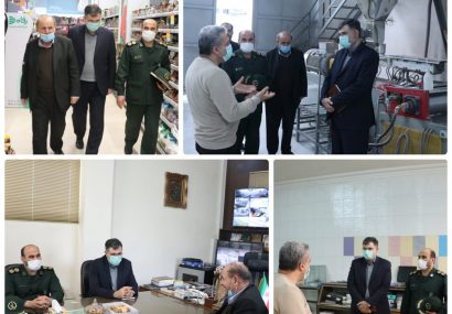 پگاه مانع خروج سالانه ۶ میلیون یورو ارز شد