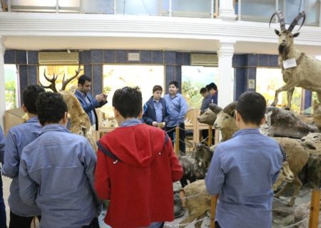 بازديد رایگان از موزه تاریخ طبیعی و تنوع زیستی گیلان به مناسبت روزجهاني حیات وحش