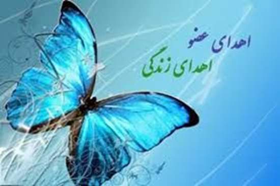 چهارمین اهدای عضو و پیوند در گیلان انجام شد