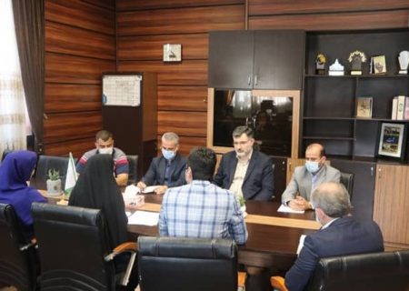 ساماندهی بخشی از مشاغل غیررسمی نباید انحصاری باشد