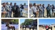 دومین کنفرانس علمی و مسابقات زیبای اسب کاسپین کشور در رضوانشهر