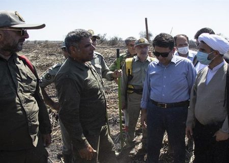 دستگاه قضایی با کسانی که با آتش زدن نیزارها تصور می کنند که بتوانند در آینده این اراضی را تصرف نمایند با شدت و قاطعیت برخورد می نماید
