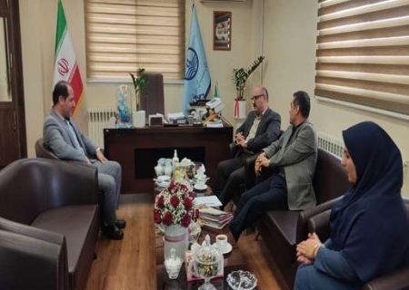 مشکلات نظام سلامت شهرستان‌ها با تفویض اختیار به مدیران شبکه ها سریعتر تعیین تکلیف می‌شوند