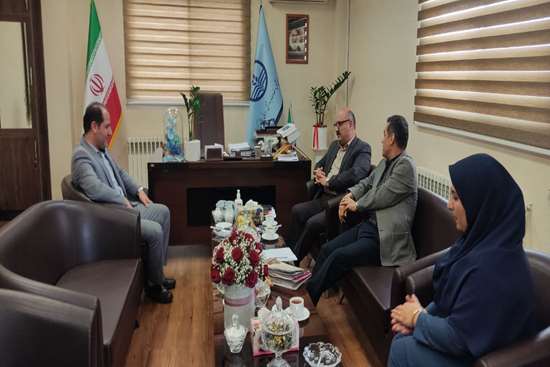 مشکلات نظام سلامت شهرستانها با تفویض اختیار به مدیران شبکه ها سریعتر تعیین تکلیف میشوند