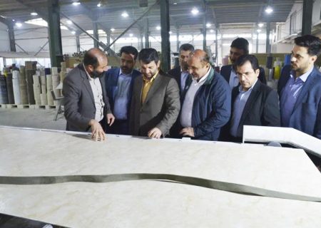 نخستین بازدید میدانی مشاور رئیس جمهور در منطقه آزاد انزلی