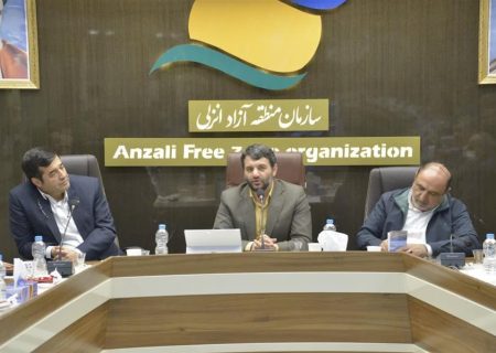 یک پنجم زمان صرف شده از سوی مدیران مناطق آزاد باید معطوف به جذب سرمایه گذار خارجی با کشورهای همسایه و منطقه باشد