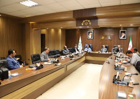 احداث پارکینگ در رشت از محل عوارض ساختمانی/افزایش ارزش معاملاتی ملک موجب تحمیل فشار به شهروندان می شود/ تاکید رئیس شورا به پرداخت به موقع حقوق و مزایای پایان سال پرسنل شهرداری رشت/ نشست خبری پایان سال شورا