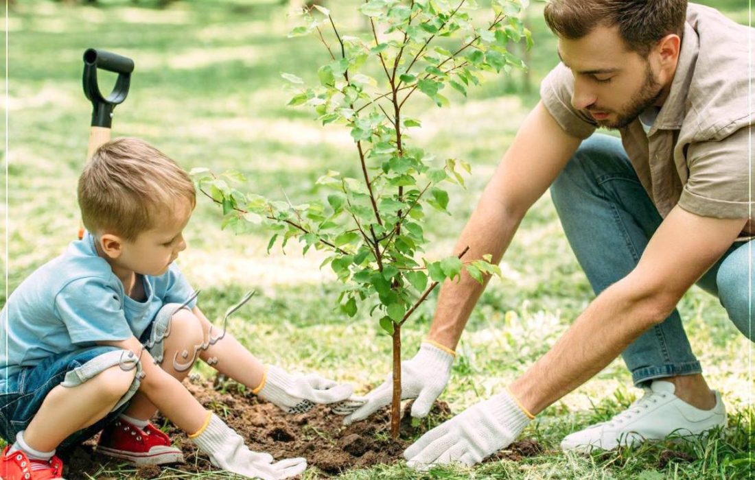 درخت مظهر زیبایی و حیات، نقش اساسی در زندگی موجودات زمین دارد