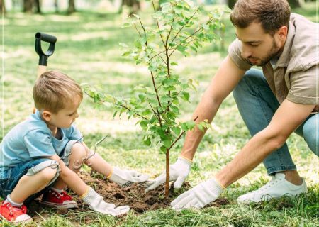 درخت مظهر زیبایی و حیات، نقش اساسی در زندگی موجودات زمین دارد
