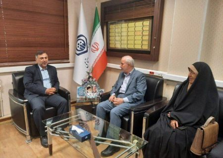 ۱۶۰۰۰ فقره از پرونده های مستمری تامین اجتماعی گیلان انتقالی از استانهای دیگر است