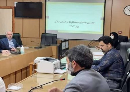 برگزاری نخستین جشنواره چندقلوها در استان گیلان در هفته ملی جمعیت