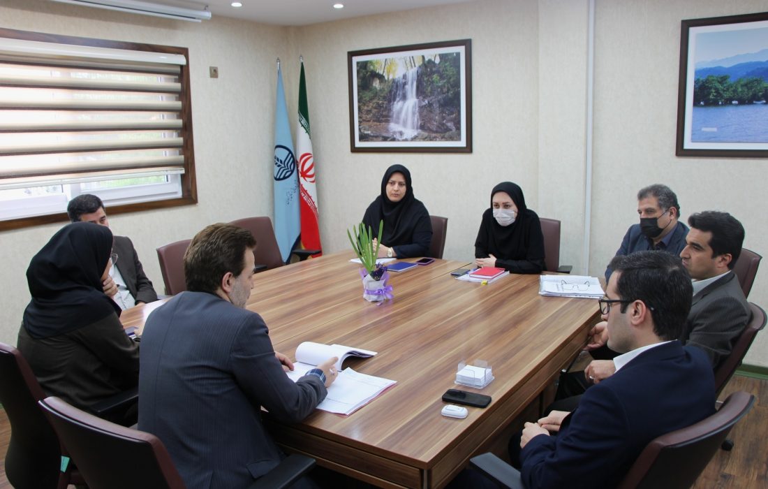 برگزاری نشست کارگروه واگذاری داروخانه های بیمارستان های دولتی در دانشگاه علوم پرشکی گیلان