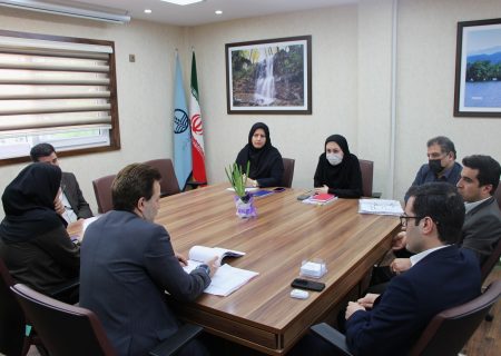 برگزاری نشست کارگروه واگذاری داروخانه های بیمارستان های دولتی در دانشگاه علوم پرشکی گیلان