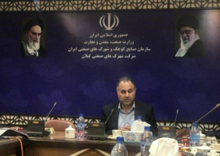 شاخص سرمایه گذاری گیلان در بخش تولید مثبت و قابل دفاع است