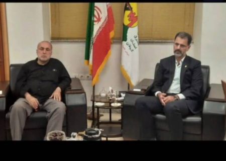 آسایش شهروندان در گرو پایداری شبکه های برق است