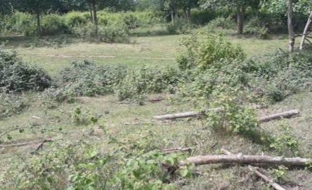 رفع تصرف ۱۵ هکتار از اراضی بستر رودخانه سفیدرود