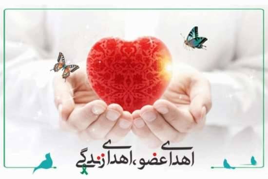 جوان ۲۷ ساله اهل رشت جانبخش سه بیمار شد