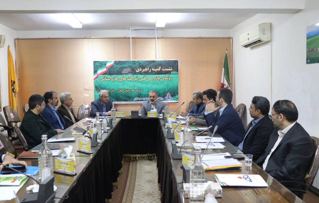 نشست کمیته راهبردی رؤسای بازرسی فنی شرکت‌های گاز استانی برگزار شد