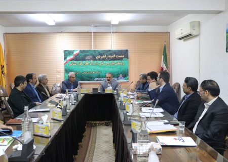 نشست کمیته راهبردی رؤسای بازرسی فنی شرکت‌های گاز استانی برگزار شد