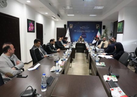 بررسی ۲۵ طرح سرمایه‌گذاری در كمیسیون اقتصادی منطقه آزاد انزلی