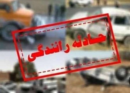 واژگونی یک دستگاه مینی‌بوس ۱۰ تن را راهی بیمارستان کرد