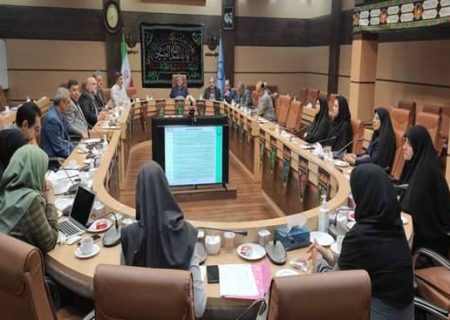 بهره‌وری از سمن‌های فعال جوانی جمعیت تقویت شود