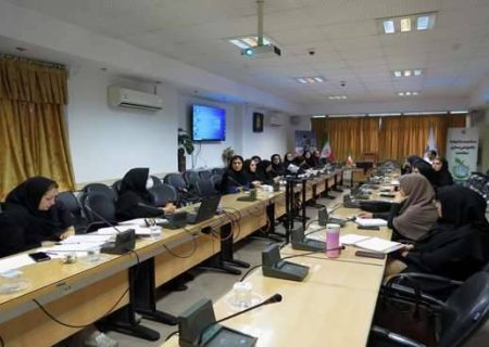برگزاری کارگاه آموزشی شیوه نامه مشارکت داوطلبان سلامت محله در پیشگیری از گزش پشه آئدس