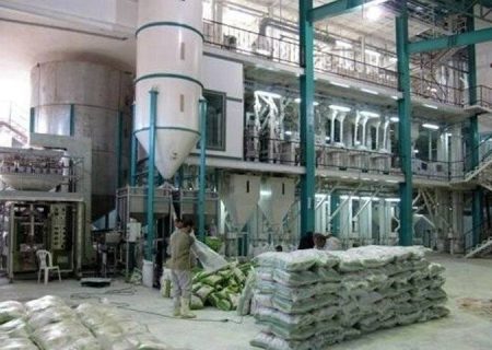 طرح نظارتی ویژه شالیکوبی در گیلان آغاز شد