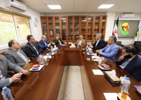 برق و روشنایی نقش مهمی در تامین امنیت دارد / همراهی شرکت توزیع برق گیلان در اجرای پروژه های عمرانی مدیریت شهری / جمع آوری شبکه های سیمی برق و اجرای یکصد کیلومتر خطوط برق در رشت/ در شورای رشت ظرفیت های خوبی وجود دارد که در اجرای پروژه های عمرانی در سطح گیلان نیز تاثیرگذارند