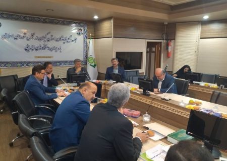 نگاه تخصصی و دانش محوری رویكرد جدید توزیع برق گیلان در اجرای فعالیت ها است/ اقدامات مهمی از ابتدای سال برای تامین برق پایدار استان صورت پذیرفته است