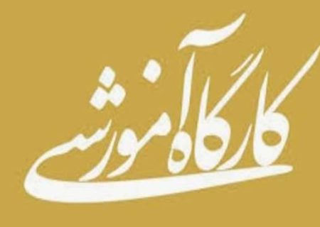 زمان برگزاری کارگاه آموزشی مراقبت از بیماری تب دنگی اعلام شد