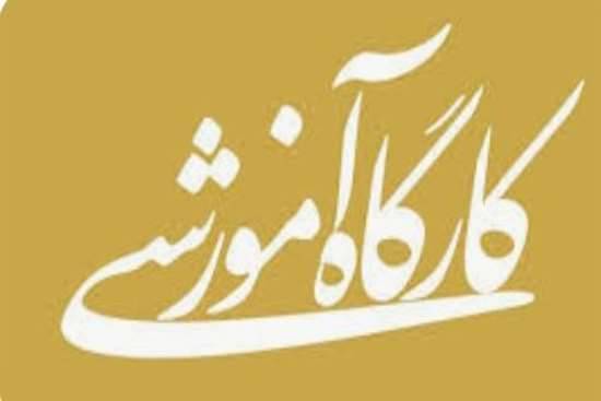 زمان برگزاری کارگاه آموزشی مراقبت از بیماری تب دنگی اعلام شد