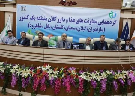 سومین گردهمایی معاونان غذا و دارو دانشگاه های کلان منطقه یک کشور