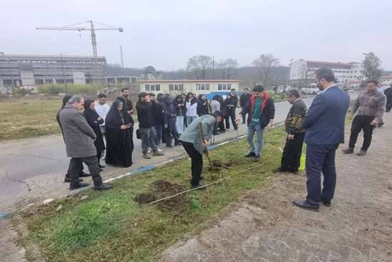 آغاز رویداد غرس ۵۰۰ اصله نهال در سایت لاکان دانشگاه علوم پزشکی
