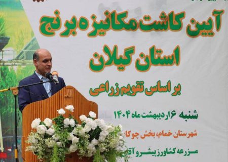 آغاز کشت برنج در ۲۳۸ هزار هکتار از اراضی گیلان