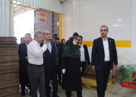 بازدید سخنگوی دولت و استاندار گیلان از واحدهای تولیدی در منطقه آزاد انزلی