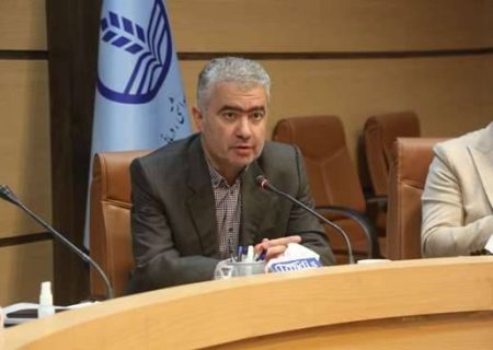 بالارفتن سن ازدواج و سن نخستین فرزندآوری از مهمترین عوامل بروز بحران جمعیتی در گیلان