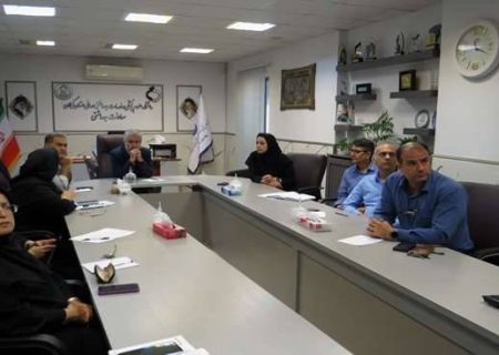 وبینار مشترک هم‌اندیشی معاونت بهداشتی دانشگاه در مقابله با پشه آاِدس با سه دانشگاه دیگر علوم پزشکی برگزار شد