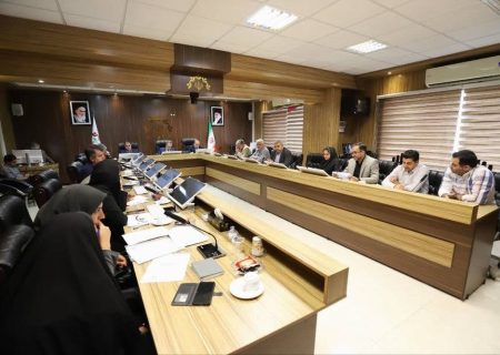 اصلاحات جدید آیین نامه اجرایی مشوق های سرمایه گذاری شهرداری ظرف یک هفته به شورا ارسال شود/ بازنگری در لایحه ساماندهی مشاغل سیار خودرویی و گاری کبابی ها