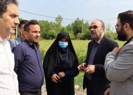 فرماندار خمام خواستار همکاری و تعامل نزدیک‌تر دستگاه‌های اجرایی برای تسریع در روند مطالعات و اجرای پروژه‌های صنعتی خمام شد