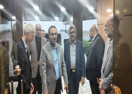 معاون بهداشتی وزیر بهداشت وارد گیلان شد